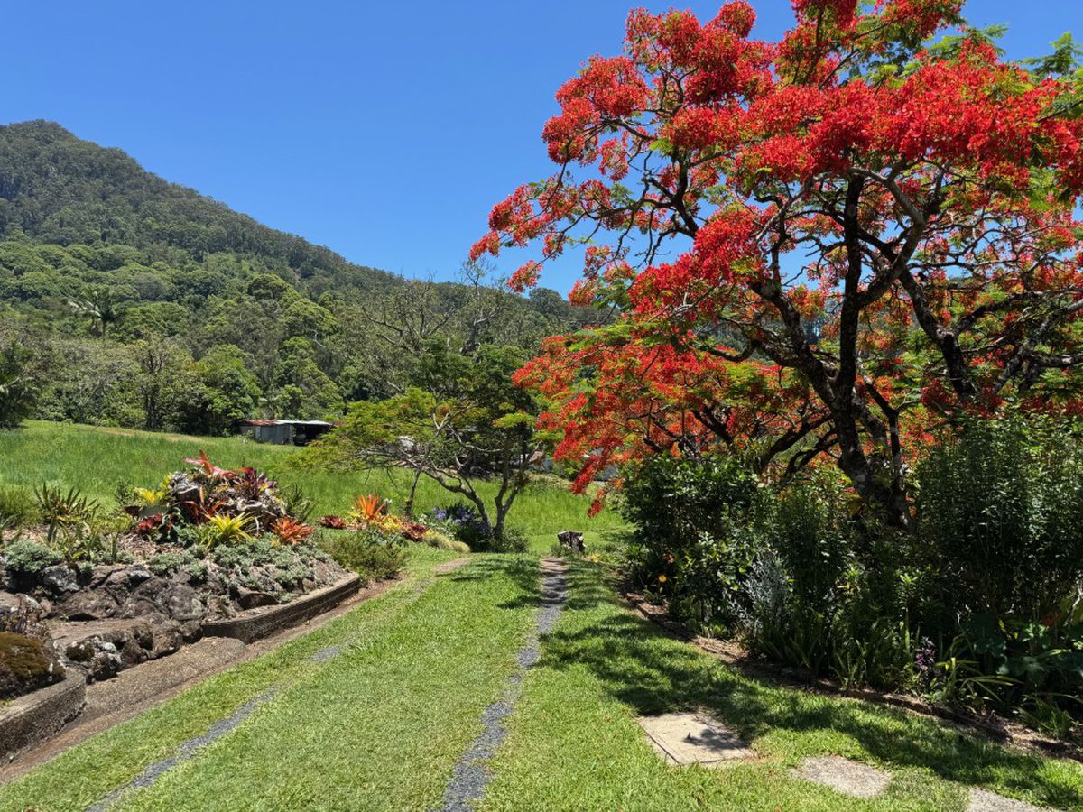 197 Palmwoods Road, Palmwoods