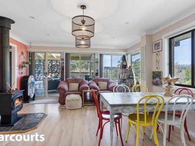 80 Wattle Street, Fishermans Paradise