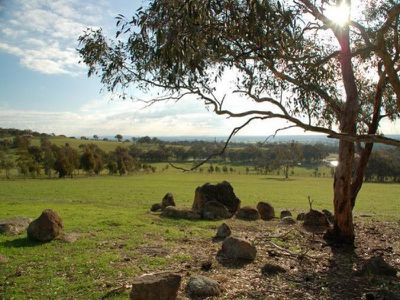 Springhurst