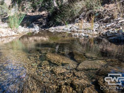 Lot 12, 212 Mole Station Road, Tenterfield