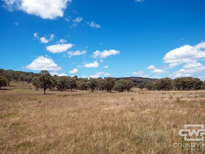 Lot 6, 2202 Wellington Vale Road, Emmaville