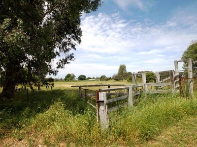 39 Milawa-Bobinawarrah Road, Milawa