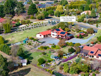 1 Pine Tree Avenue, Grindelwald