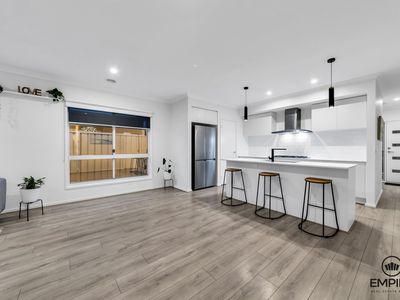 16 Modern Avenue, Clyde North