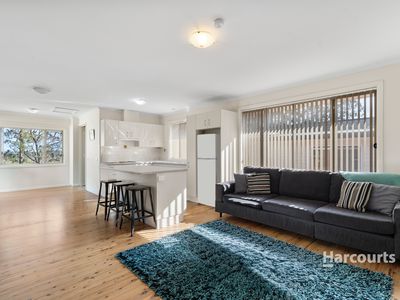 12 Wolseley Street, Milton