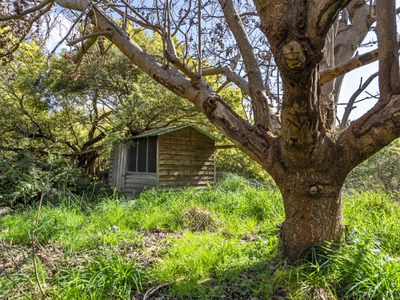 5703 Huon Highway, Surges Bay