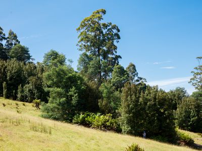 Lot 1, Dulcia Road, Gordon