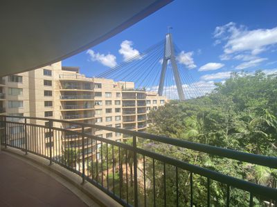 42 / 122 Saunders Street, Pyrmont