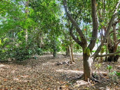 600 Mocatto Road, Acacia Hills