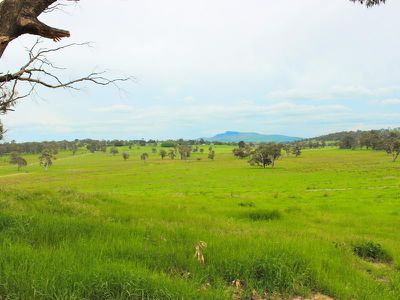 5 Sunset Hills Road, Neville