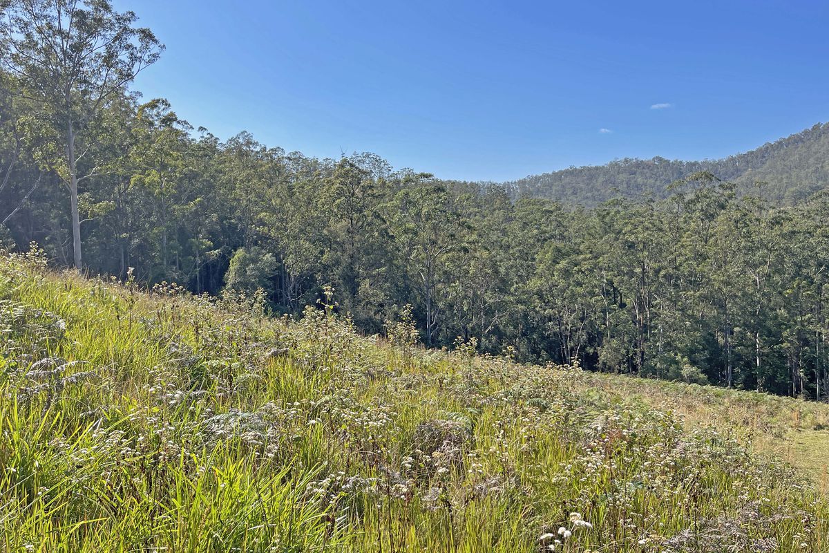 676 Little Run Road, Wherrol Flat