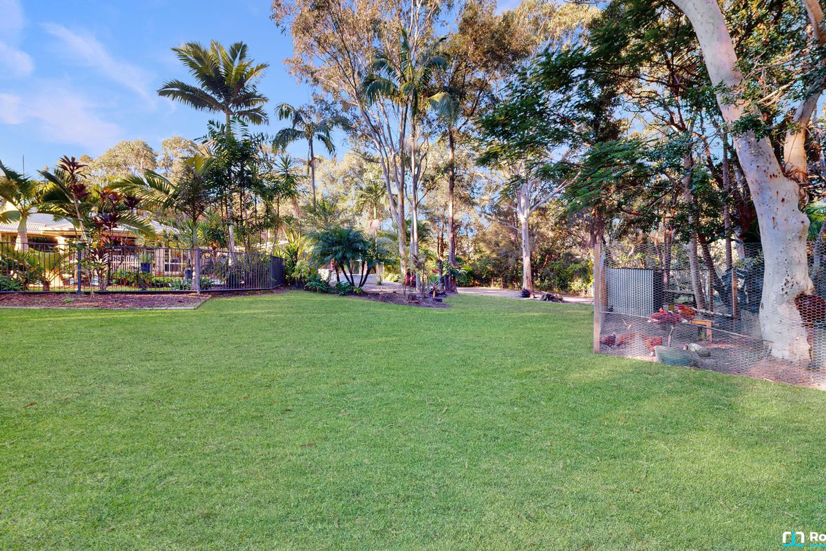 6 Bloodwood Place, Cooroibah