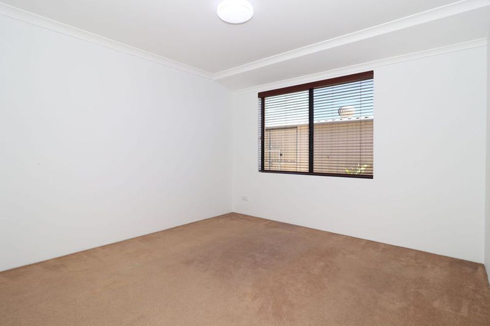5 Diamondbird  , Baldivis