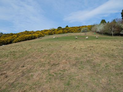 317 Chain Hills Road, Mosgiel