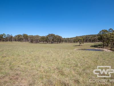 954 Bullock Mountain Road, Glen Innes