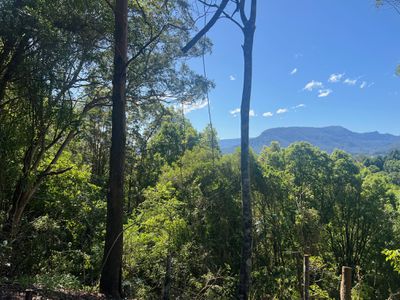 Lot 8, 345 Tuntable Falls Road, Nimbin