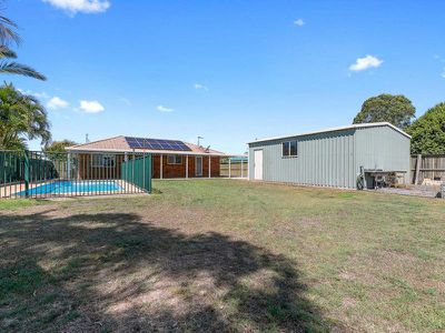 66 Ibis Boulevard, Eli Waters