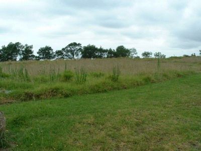 Lot, 3 Graydons Pointer Road, Milton