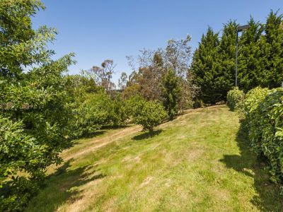 12 Moras Court, Gisborne