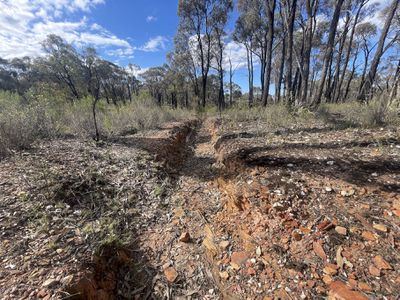 CA 37H Olympic Parade, Maiden Gully