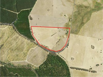 744 Coppabella Road, Tumbarumba