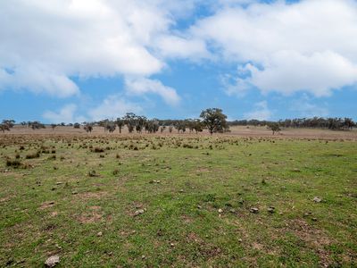 Lot Plain View Aggregation, 916 Emmaville Road, Glen Innes