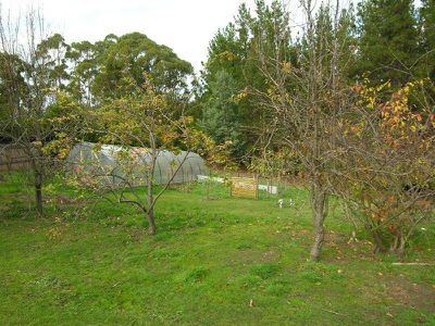 251 Silver Hill Road, Cygnet