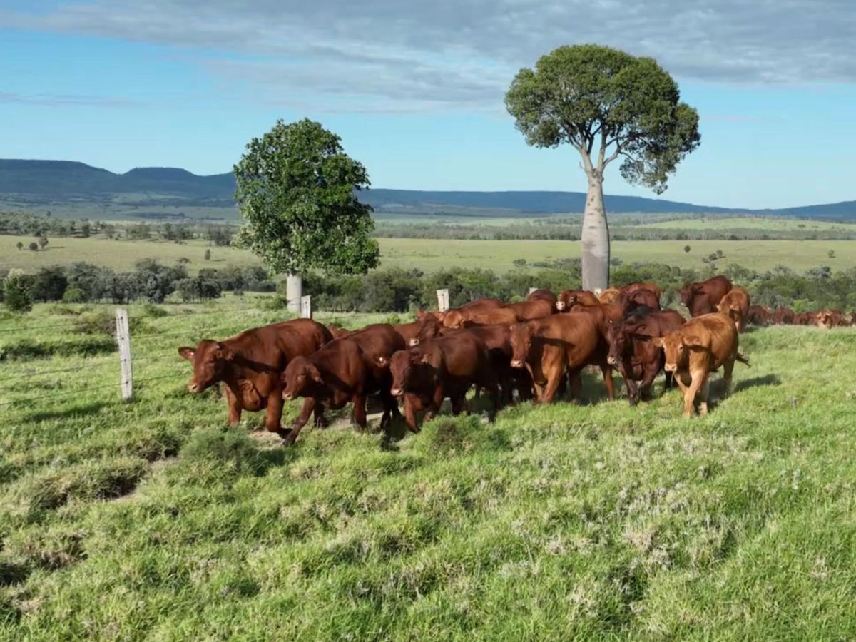 1477 Womblebank Gap Road, Injune Resolute Property Group