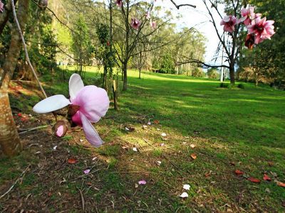 230 Allans Road, Kangaroo Valley