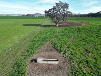 'Willowbank' Urana Road, Jindera