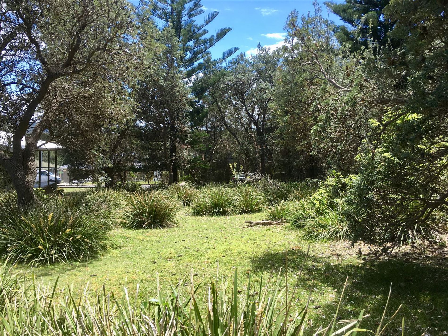 71 Kurrawa Drive, Kioloa