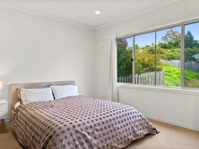 41 Tuckeroo Avenue, Mullumbimby