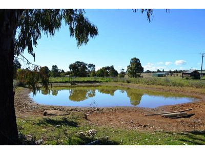 230 Wandobah Road, Gunnedah