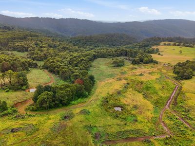 28834 Tasman Highway, Weldborough