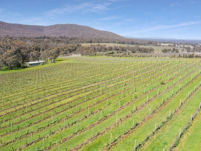 Lot 1, 77 Shurans Lane, Heathcote