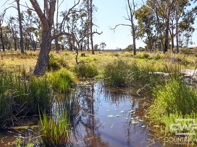 391 Carrot Farm Road, Deepwater