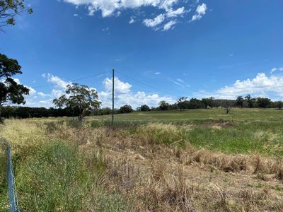 4570 Black Stump Way, Coolah