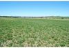 2472 Banjo Paterson Way, Cumnock