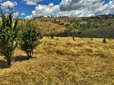Lot 31 Bownds Lane, Bethanga
