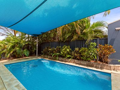 16 Anea Brace, Bilingurr