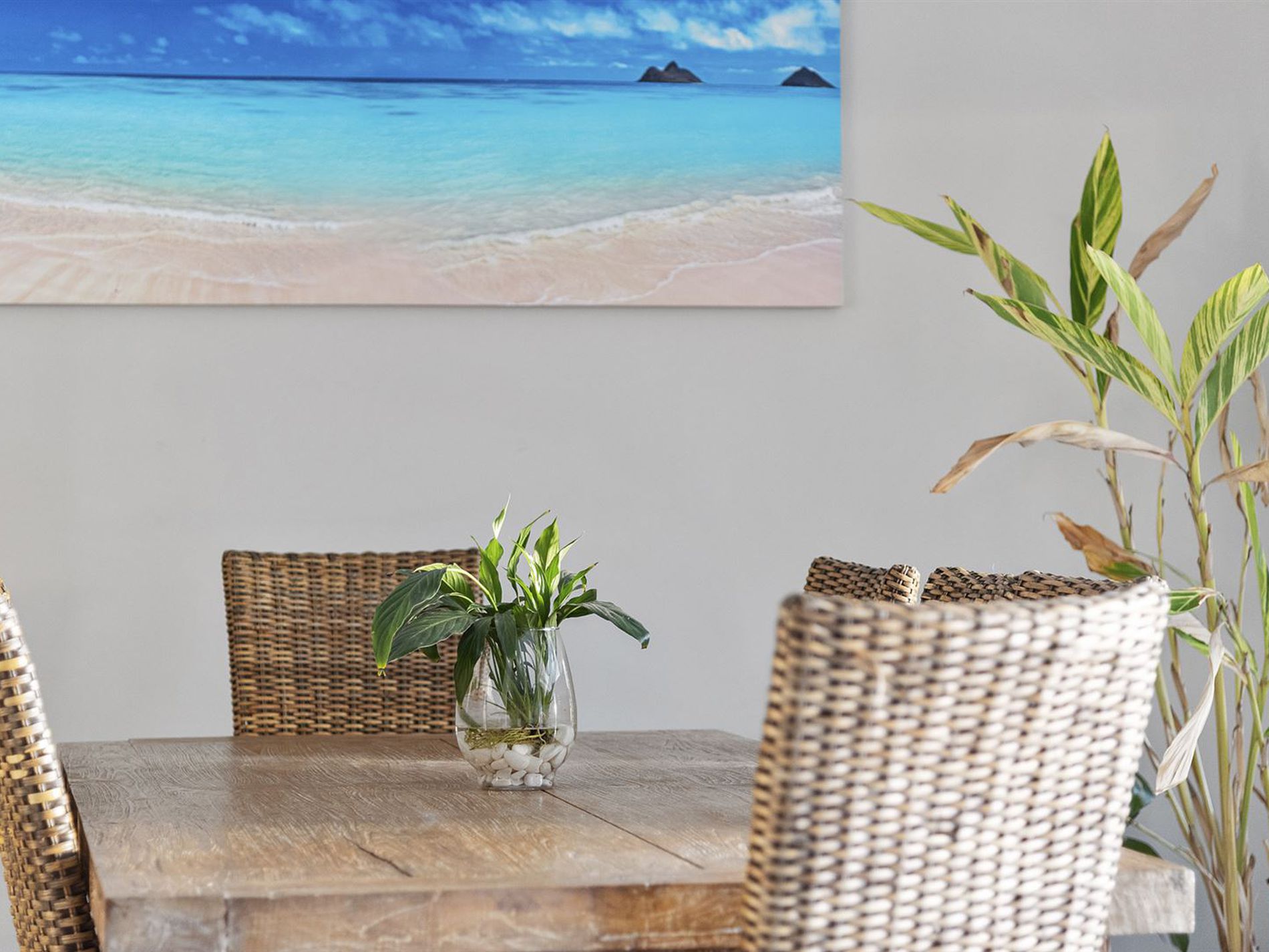 147 Lake Conjola Entrance Road, Lake Conjola