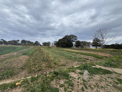 203 Heath Road, Leppington