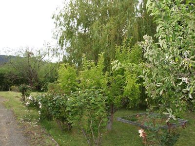 256 Braeside Road, Franklin