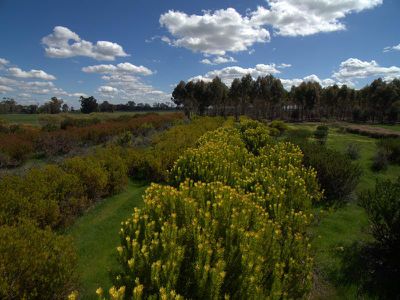 469 Bunganail Road, Nagambie