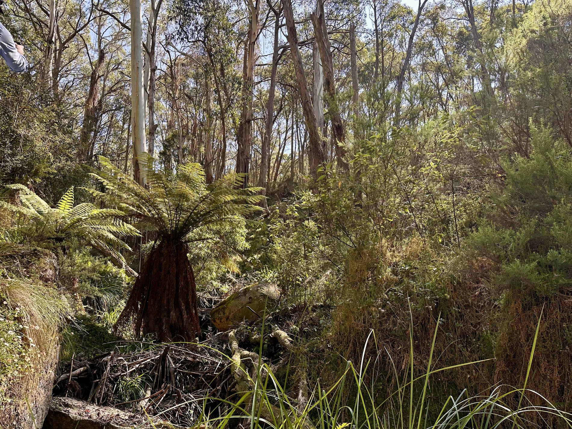 124 Gumms Road, Harolds Cross