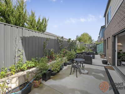 10 Potoroo Street, Throsby