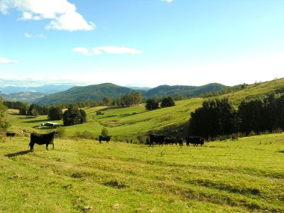 160 Coalmine Road, Kaoota