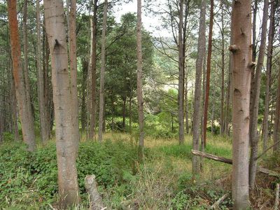 Lot 1 Huon Highway, Surges Bay