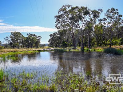 391 Carrot Farm Road, Deepwater