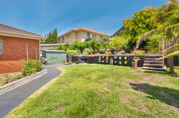 11 Nicholson Court, Greenvale